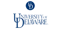 Deiaware university placements by treamis