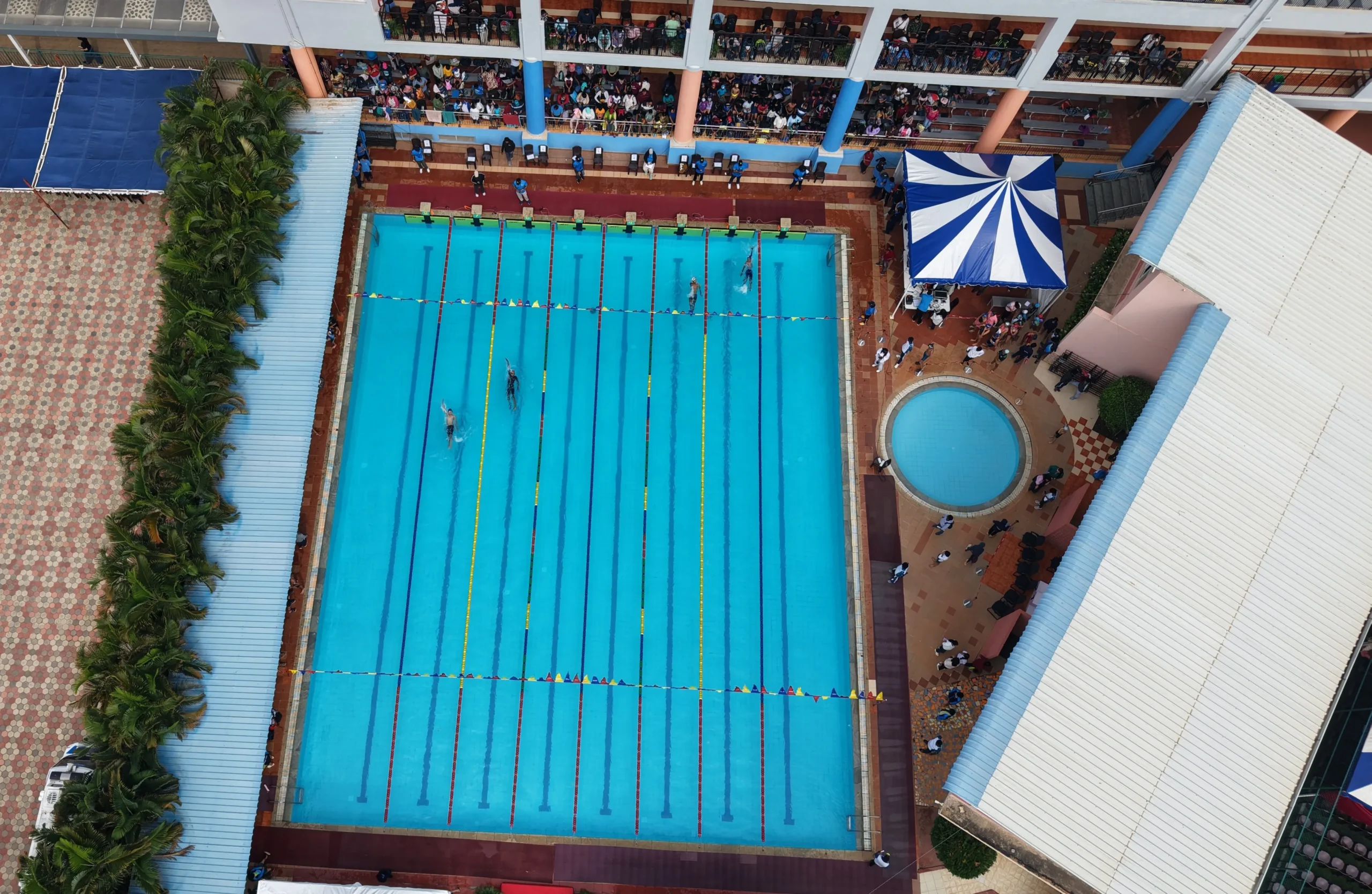Treamis students swimming activity